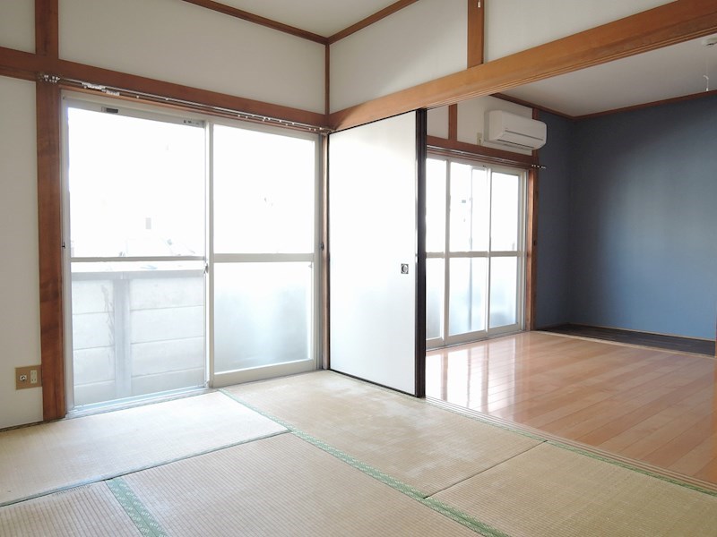 コスモス31 その他1