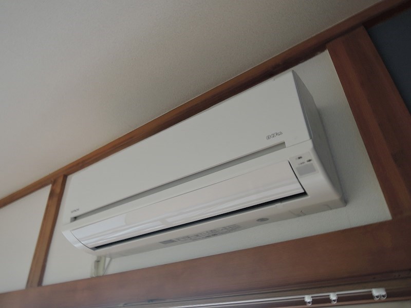 コスモス31 その他2