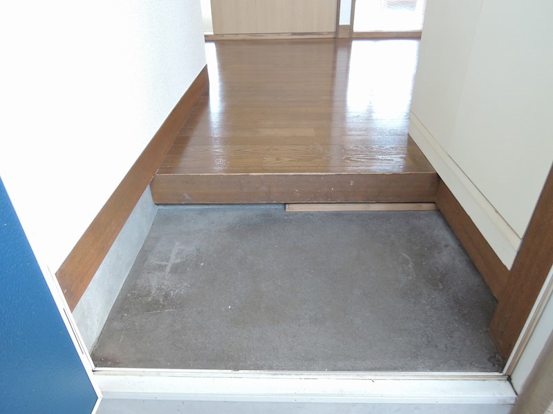 コスモス31 その他4