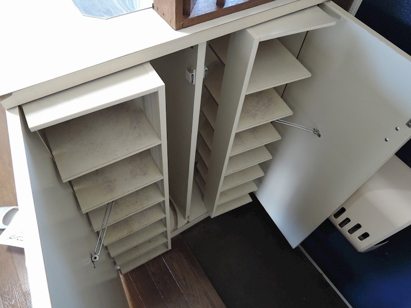 コスモス31 その他5