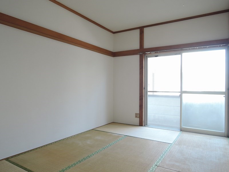 コスモス31 その他6