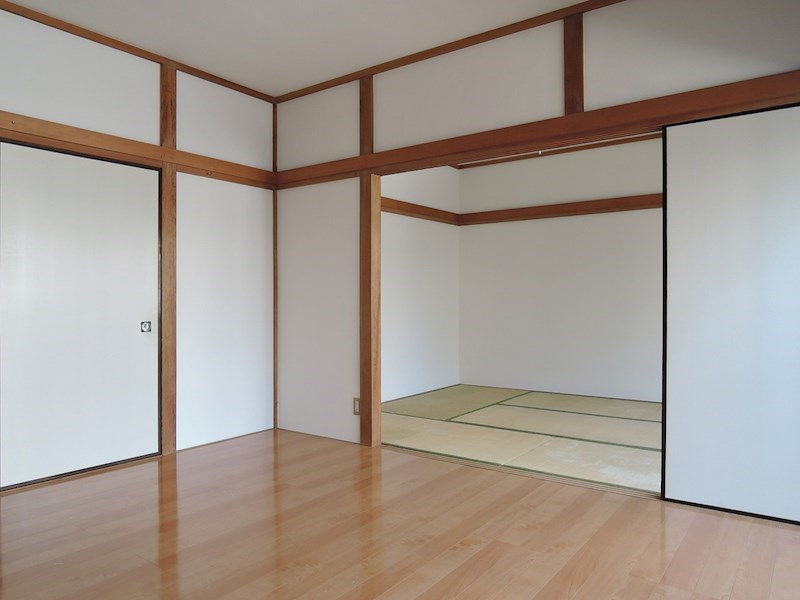 コスモス31 その他7