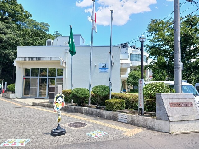 マリン その他外観6