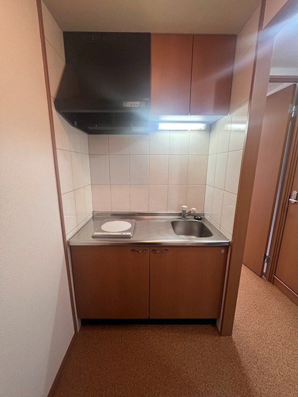 ヴィレッジヒル宮西 その他13