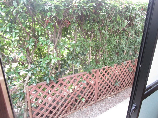 池田ハイツ ベランダ