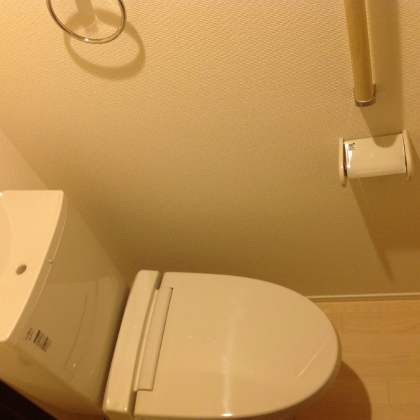 ミランダプレジールＭ その他11