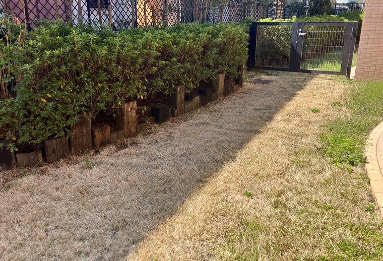 レクセルマンション武蔵野台 その他6