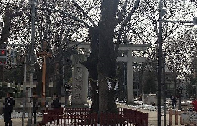 ソレイユ　ブラン その他外観6