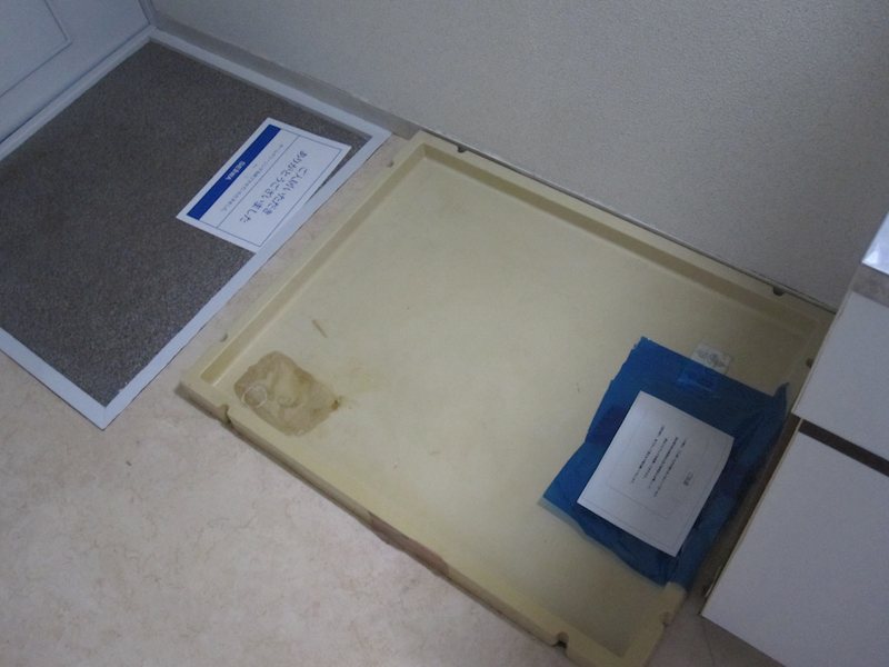 ルピナス紅葉丘 その他外観1