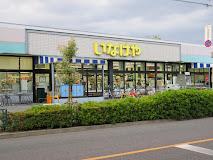 グリシーヌ その他外観3