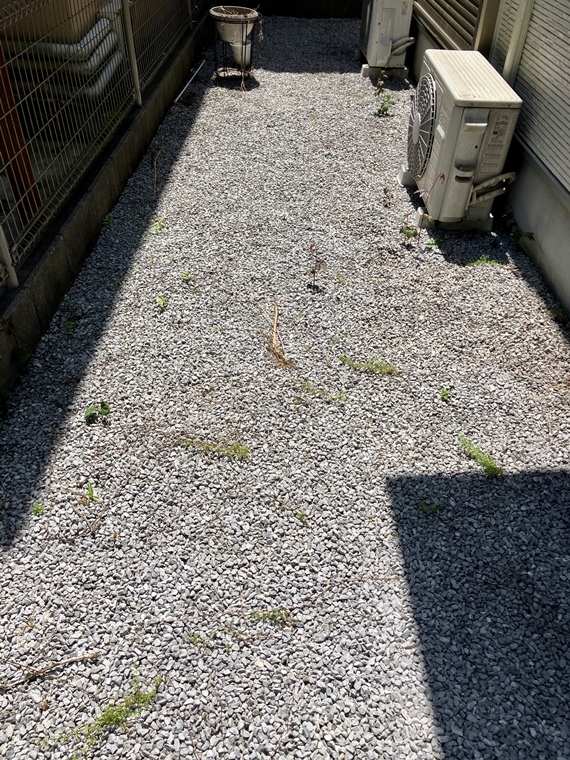 日吉町戸建 庭