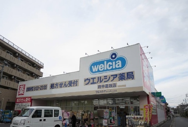 グラシア その他