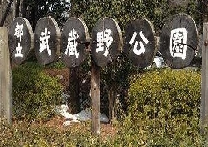 ジャルダン　ヴェール その他