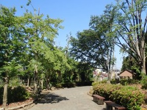 コワンソール 公園