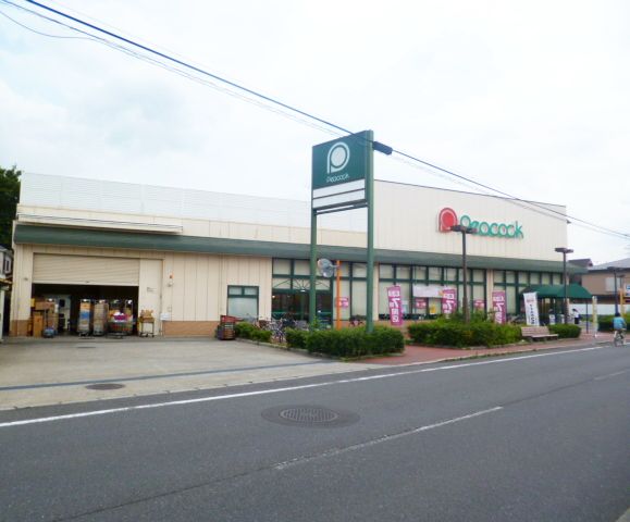 グレイスパル1 スーパー
