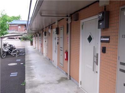 Amyris その他