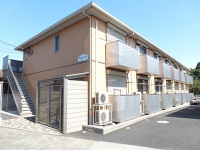 Amyris ベランダ