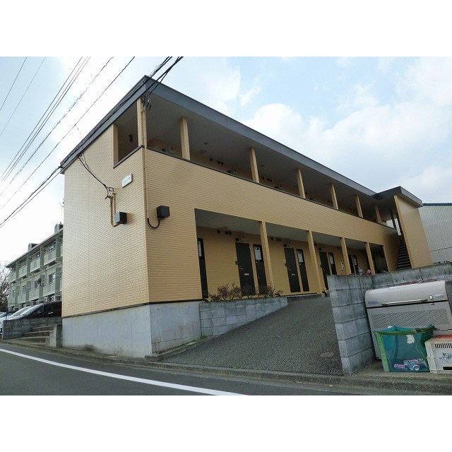 アムール琴 外観