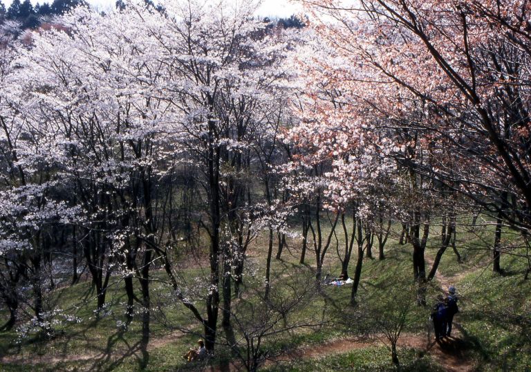 レオパレスHSIRIVER2 公園