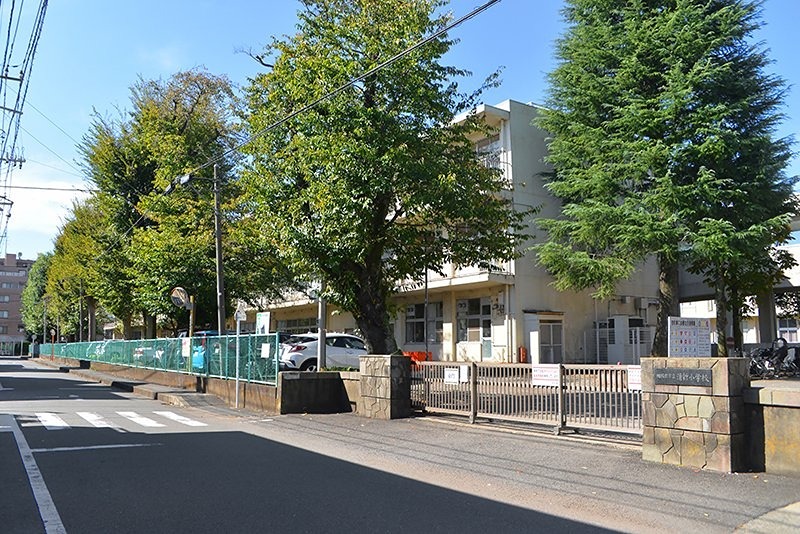 AZALEA 小学校