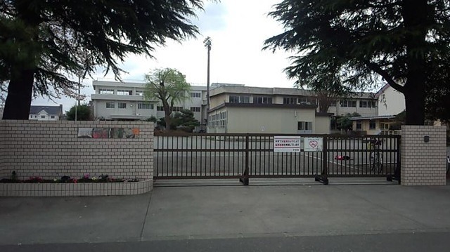 ヴェルドミール2 小学校