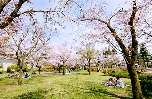 アミールカイト 公園