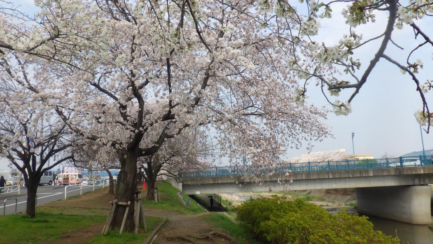 アミールカイト 公園