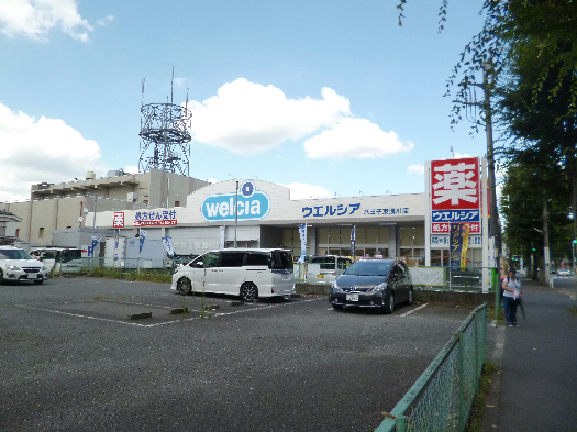 アミールカイト ドラッグストア