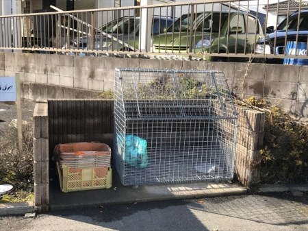 ジュネス その他共有部分