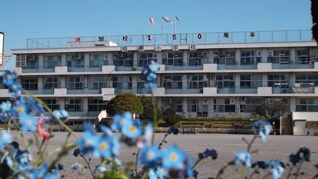 アネックスマルヤマ 小学校