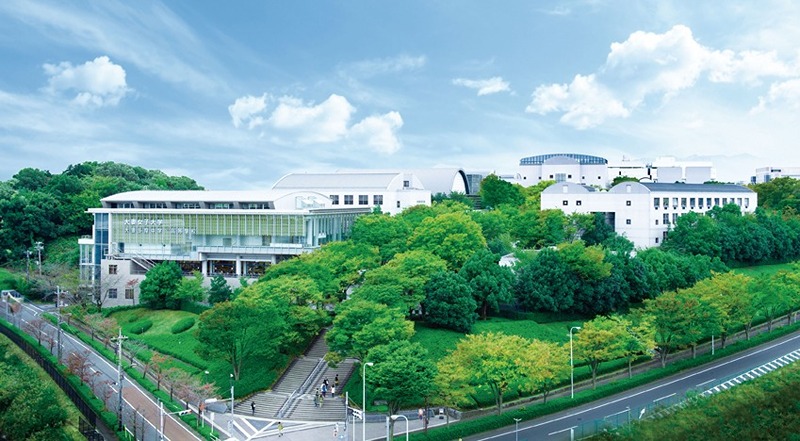 ベルチェドマーニ 大学・短大