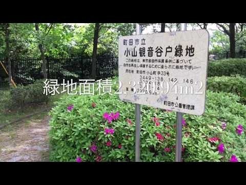 イルソーレ 公園