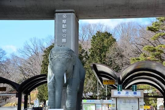 サンハイツ 公園
