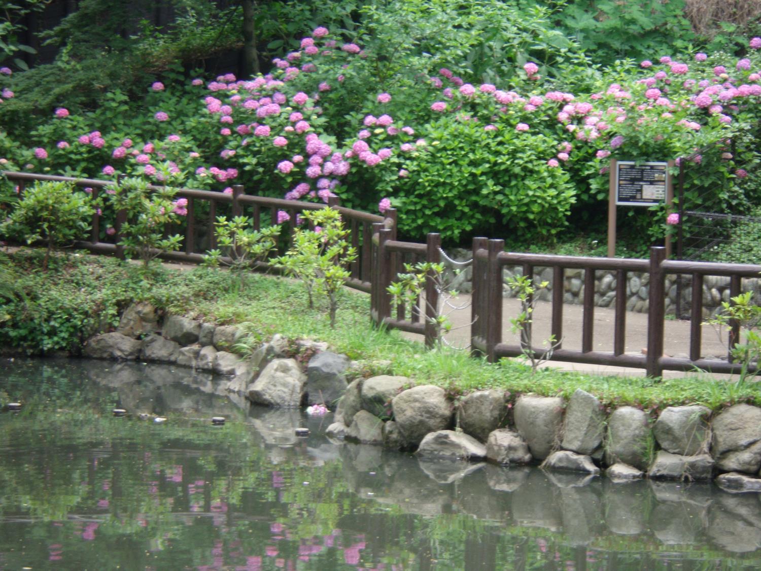 ドリームコート八王子 公園