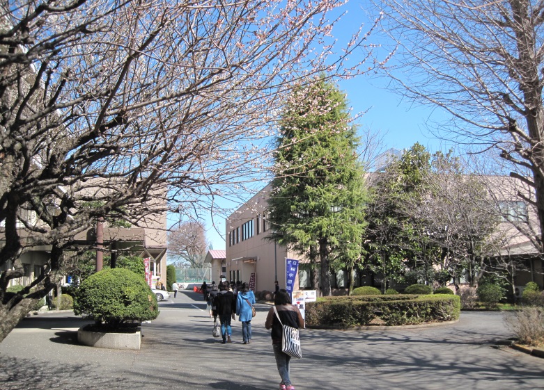 Ｋエリタージュ 大学・短大