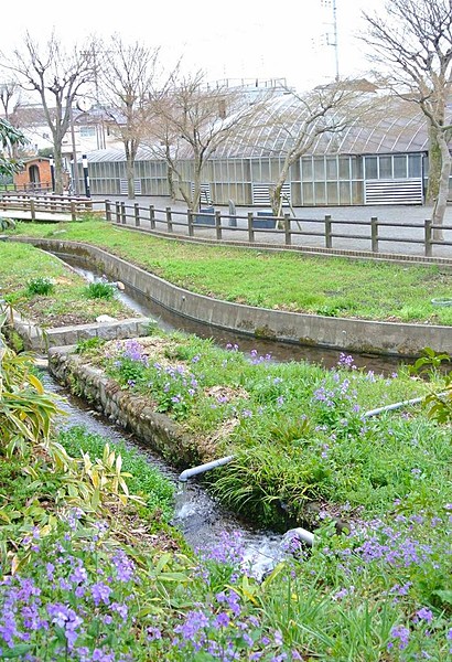 サラスバティ２ 公園