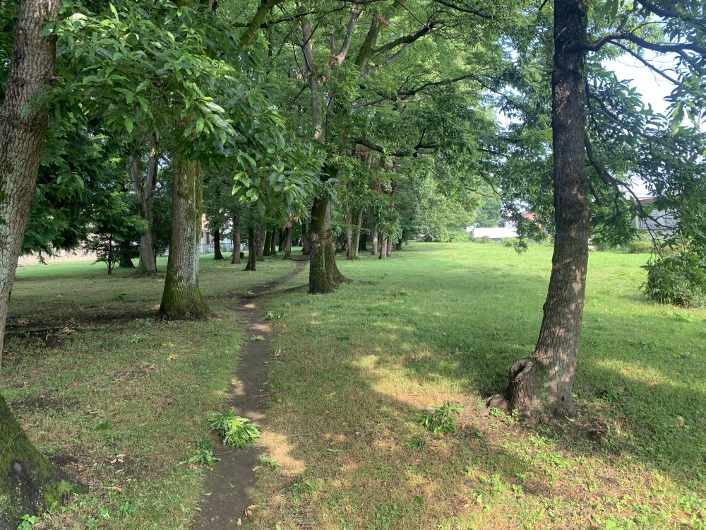 中澤ビル 公園