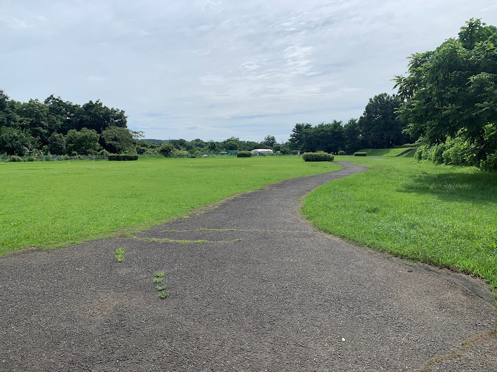 中澤ビル 公園