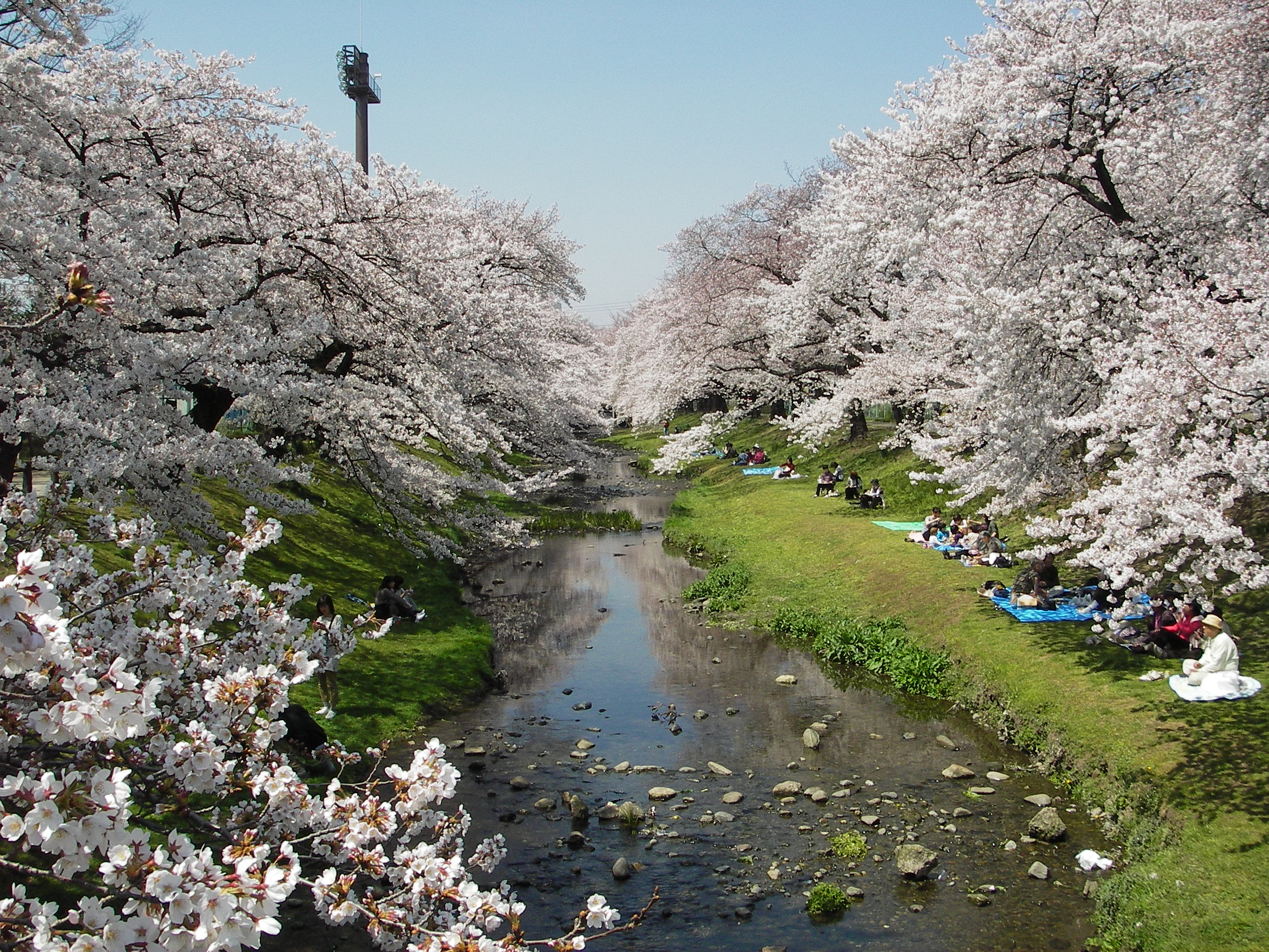 東京都立川市錦町６丁目 公園