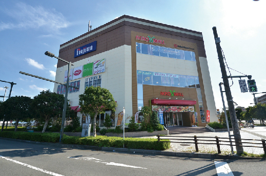 レオパレス砂漠のバラ ドラッグストア