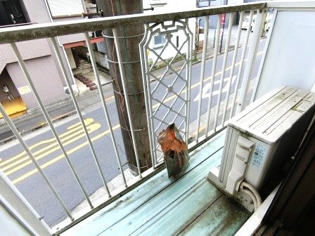 ファミーユ国分寺 ベランダ