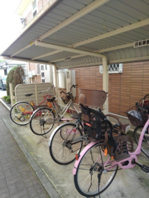 プラシードⅡ その他