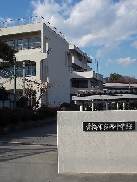 プラシードⅡ その他