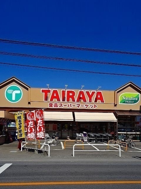 プラシードⅡ その他
