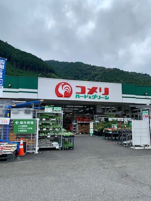 プラシードⅡ その他
