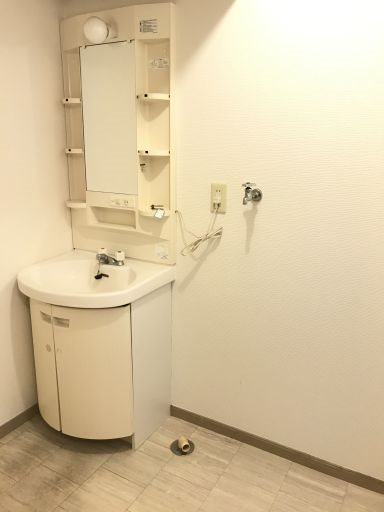 カーサ大樹 洗面所