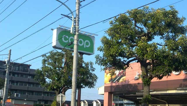 シティテラス小金井公園 B スーパー