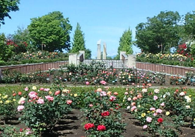 ヴェルディ菊池 公園