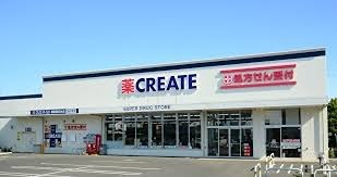 シルバードルフィン ドラッグストア
