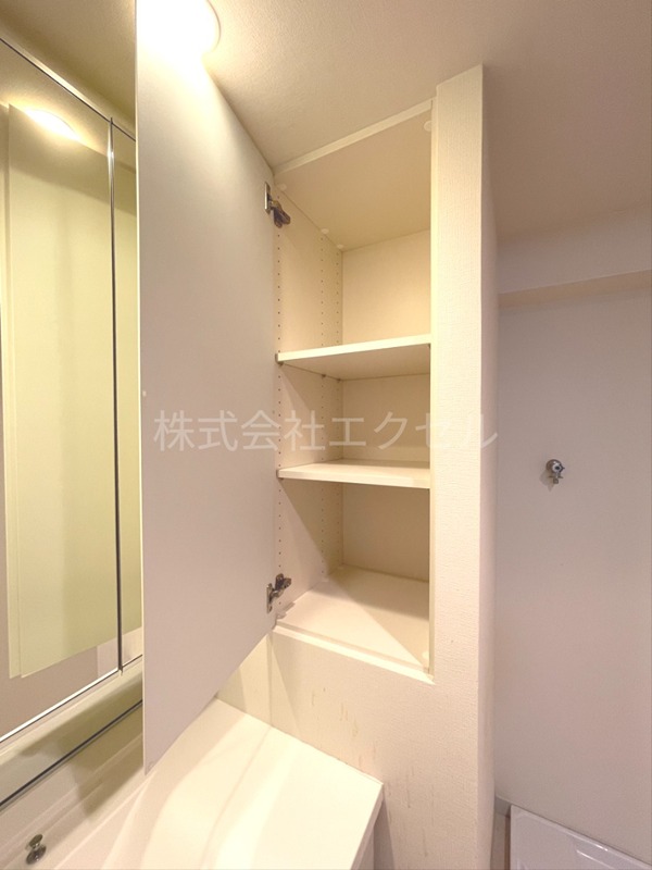 プレシス八王子（八王子市寺町） 収納